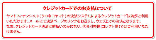 クレジットカードでのお支払いについて
