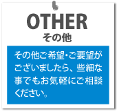 OTHER@̑